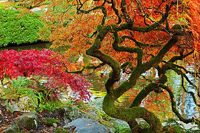 《吸血鬼：避世血族血猎》未来游戏展预告 支持中文配音